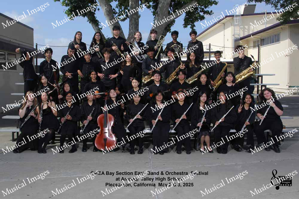Musical Images